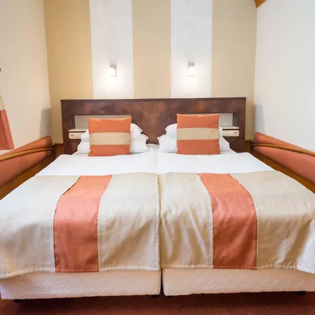 Hotel Spa Heviz 4*