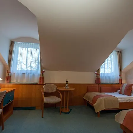 Hotel Spa Heviz מלון Hévíz