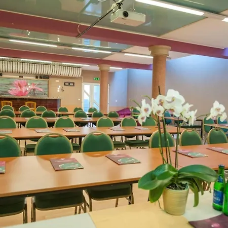Hotel Spa Heviz מלון