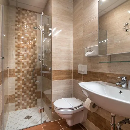 Hotel Spa Heviz מלון 4*