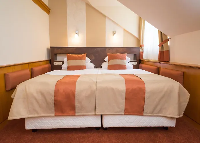 Hotel Spa Heviz Hotel Hévíz