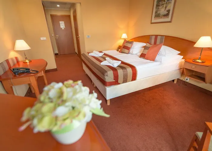 Hotel Hotel Spa Hévíz