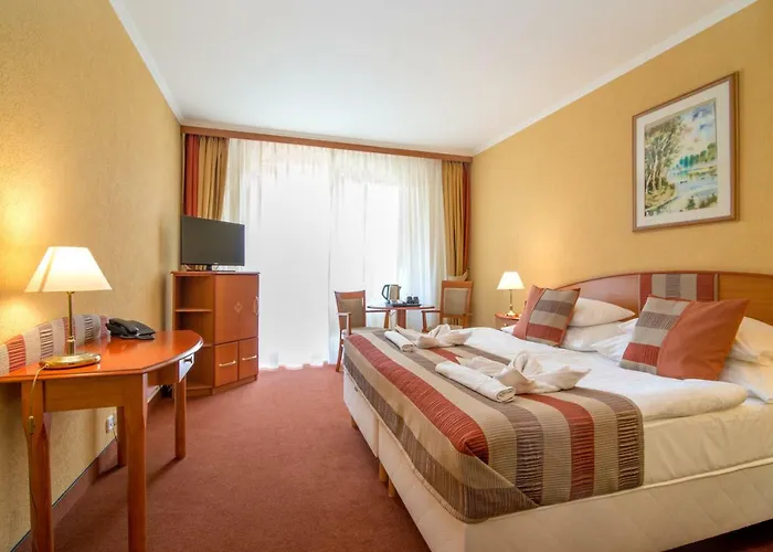 Hotel Hotel Spa Heviz 4*